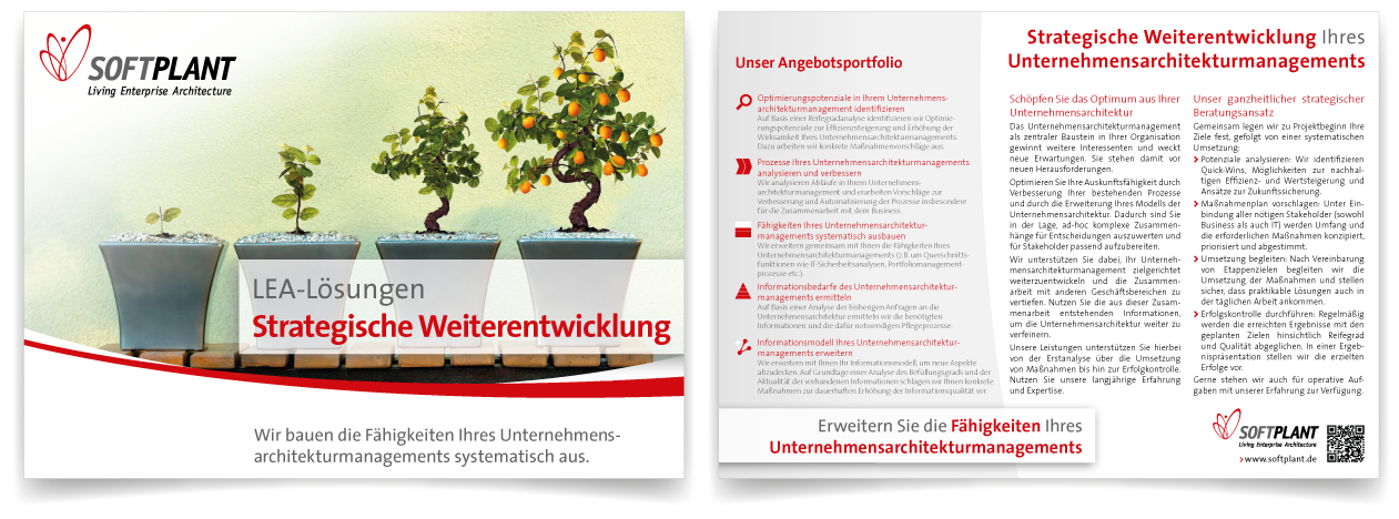 Werbeflyer "LEA-Lösungen – Strategische Weiterentwicklung"​