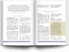 Mockup Buchsatz Fachbuch Insulinresistenz