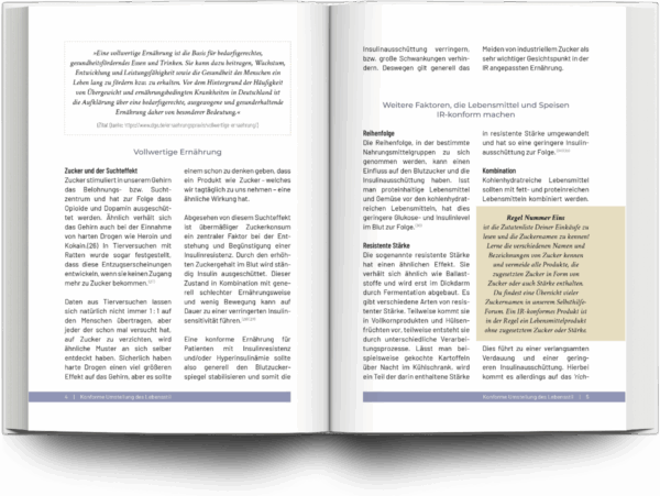 Mockup Buchsatz Fachbuch Insulinresistenz